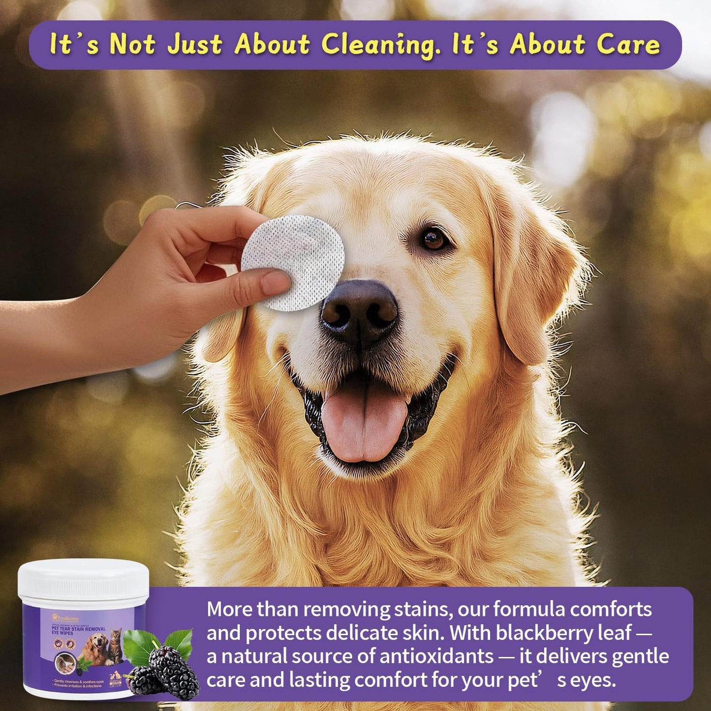 Gentle pet eye cleaning wipes highlighting natural coconut oil and blackberry leaves ingredients