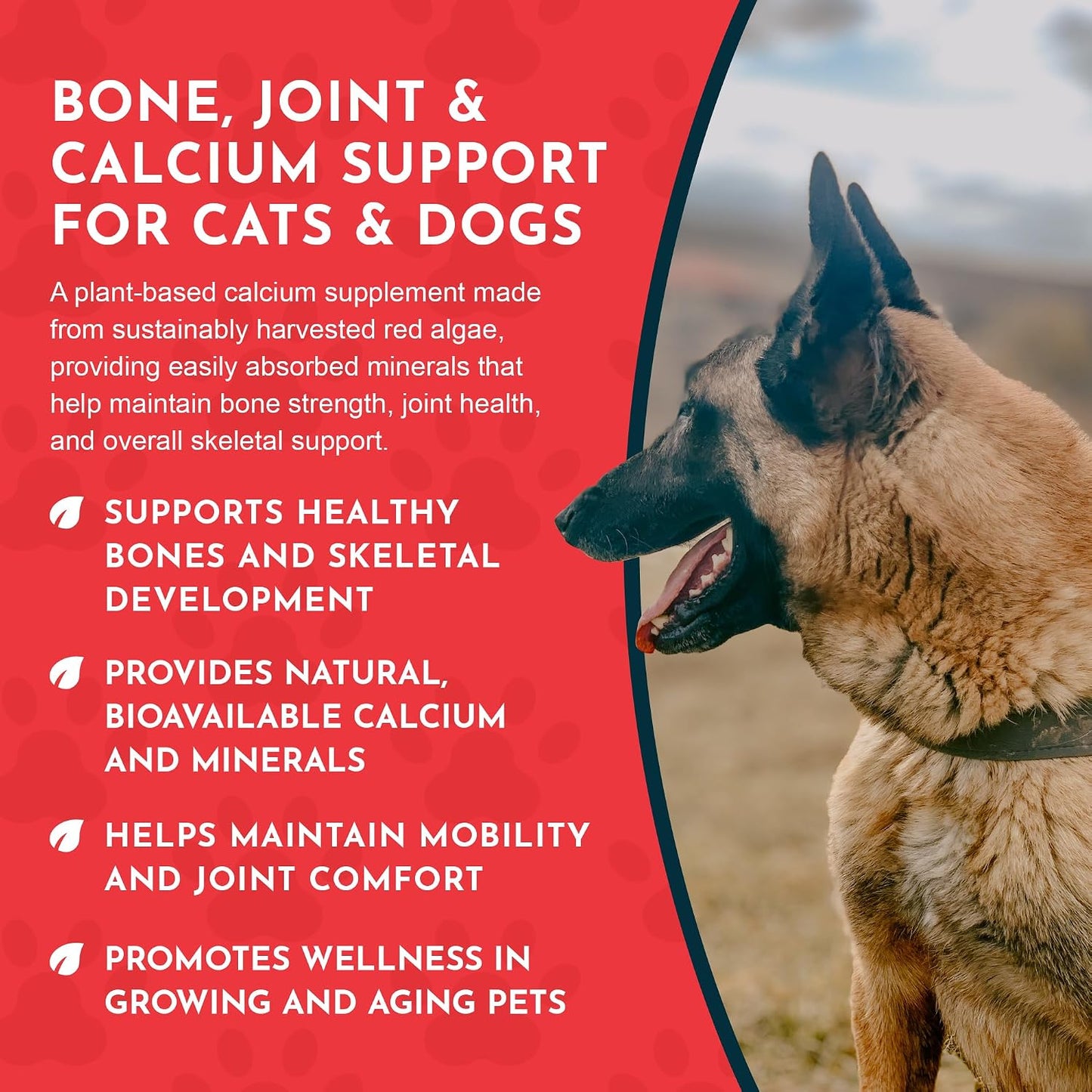 Authentic USA imported Animal Essentials pet supplement packaging