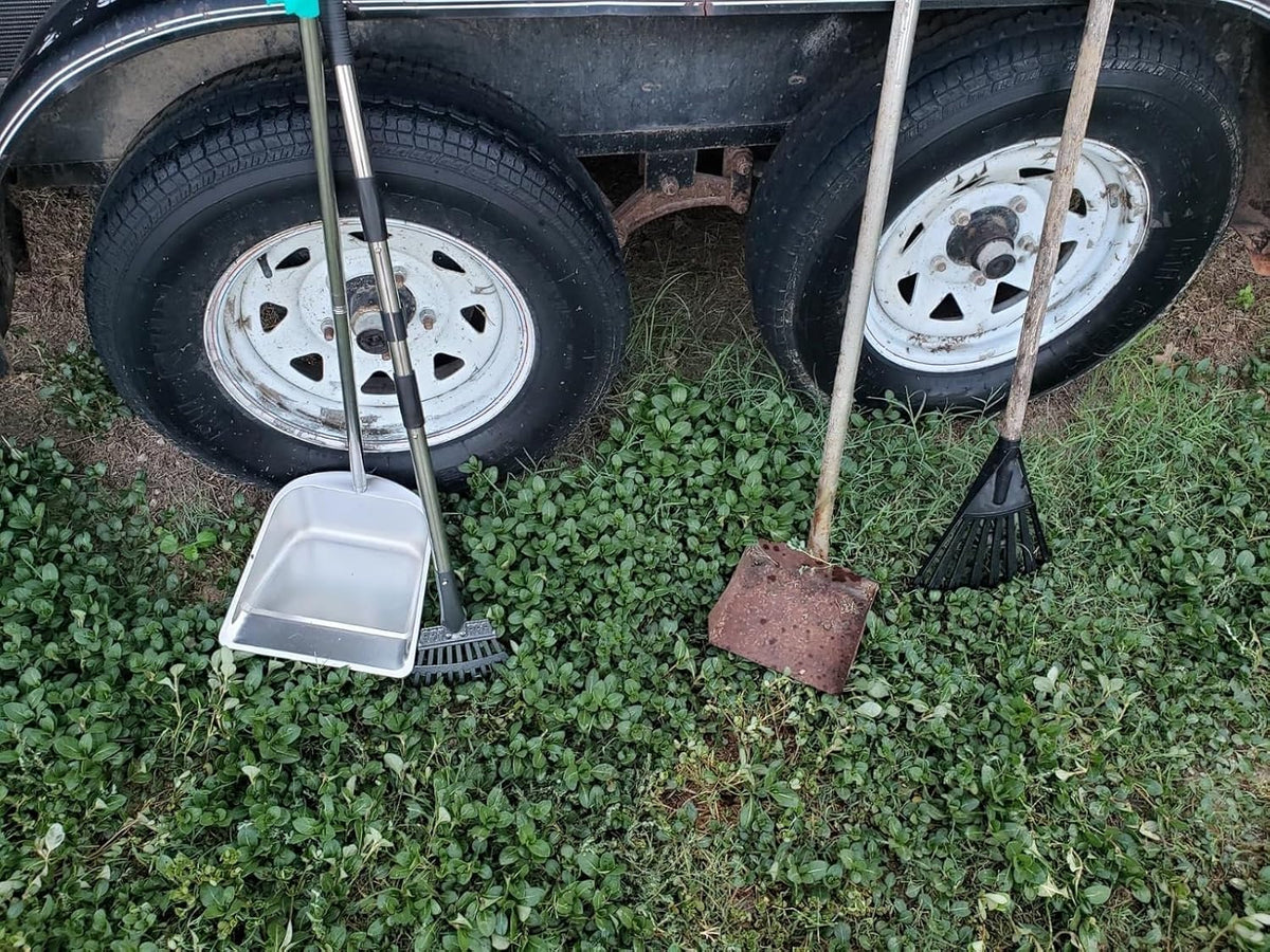 Heavy duty one piece press molded metal rake clearing pet debris from backyard lawn grass.