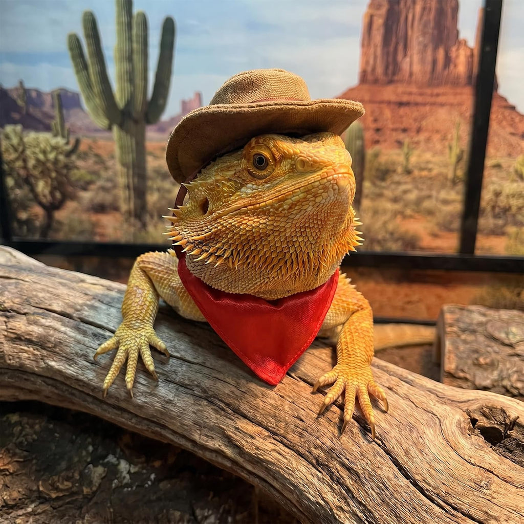 Authentic imported USA reptile outfit accessory for holiday parties