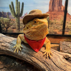 Authentic imported USA reptile outfit accessory for holiday parties