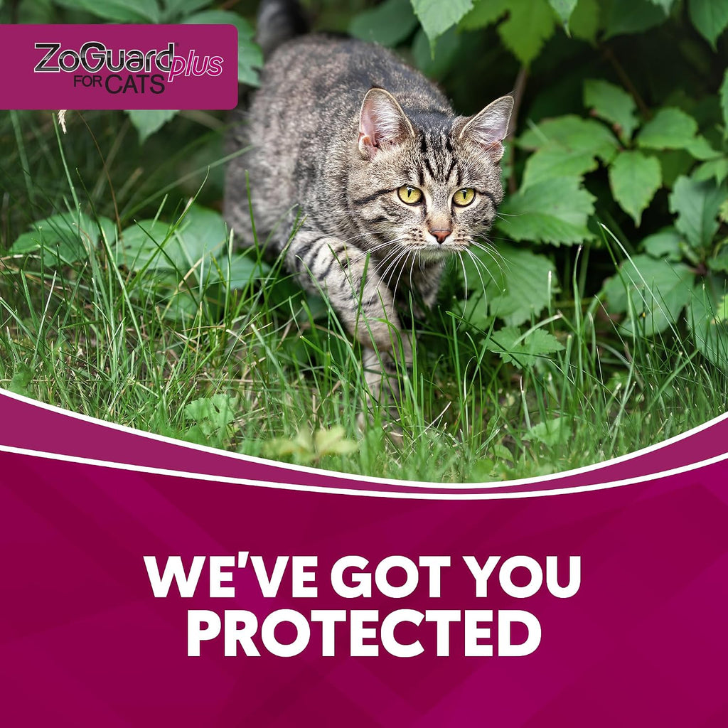 ZoGuard Plus small cat waterproof pest protection packaging details