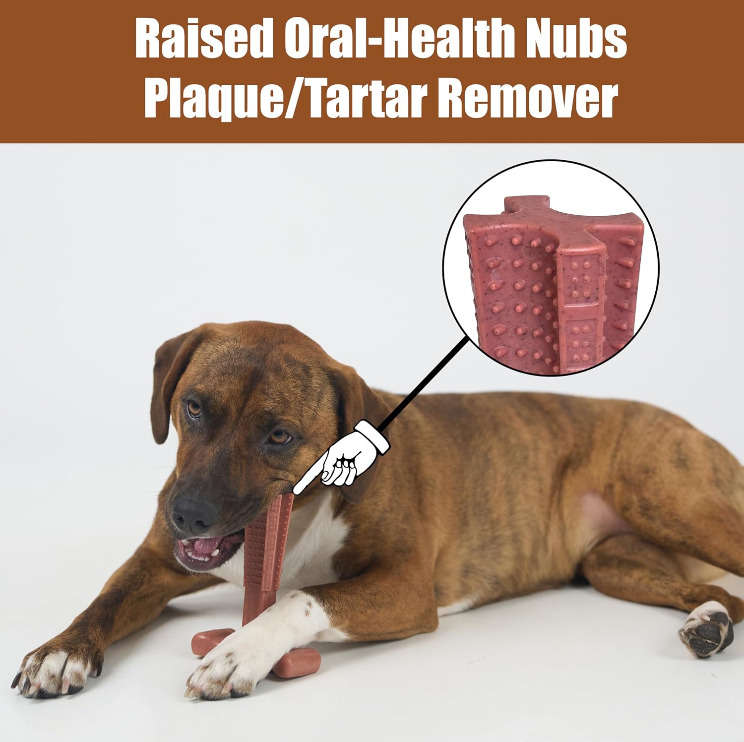 SPOT Bam-Bones Plus T Bone - Bamboo Fiber & Nylon Dog Chew Toy for Moderate to Aggressive Chewers, Durable Long Lasting & Non-Splintering, Beef Flavor Toy for Adult Dogs & Puppies Under 60 lbs, 6 in - Image 10