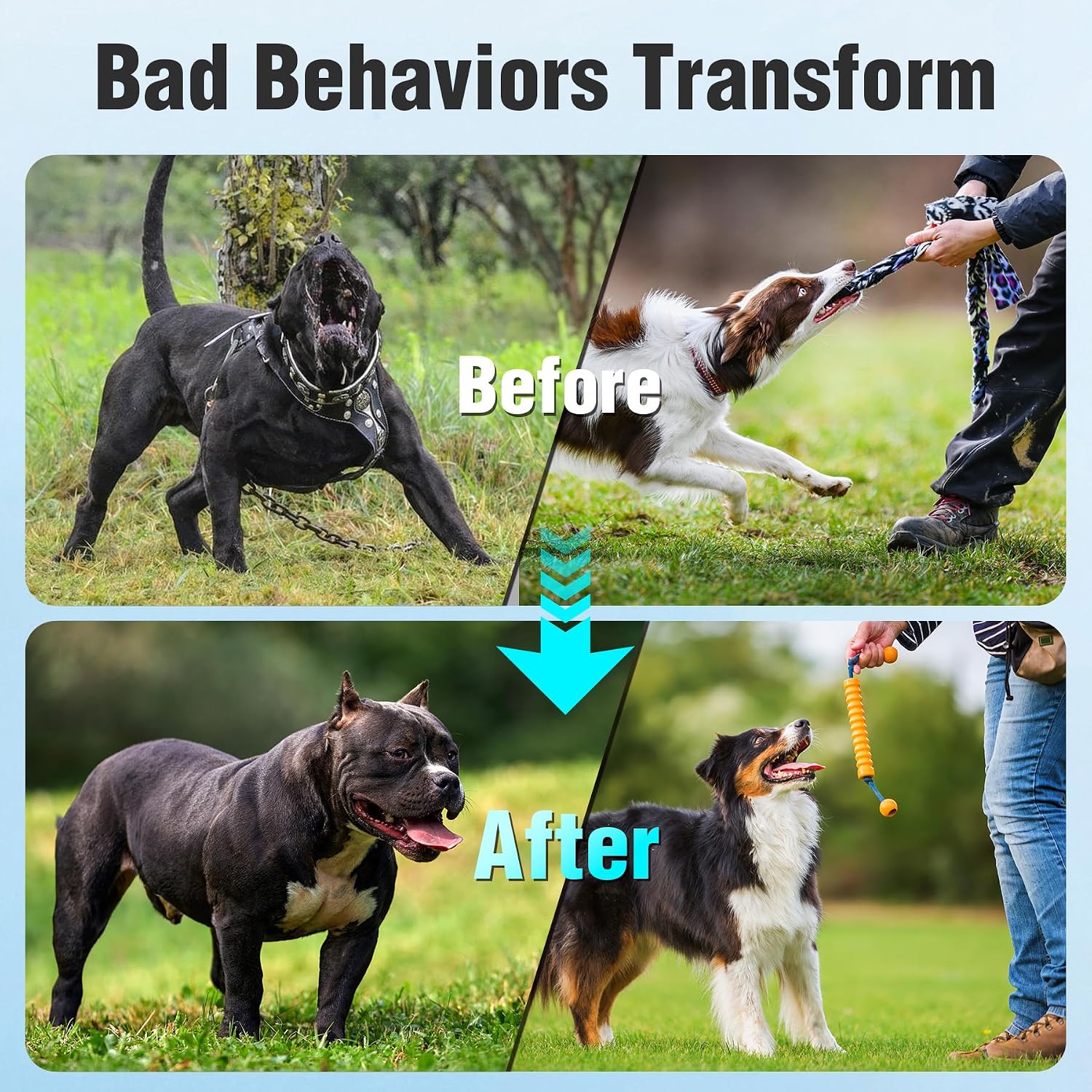 Psituge anti barking device mounted in an outdoor garden setting