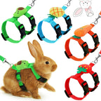 Tondiamo adjustable bunny rabbit harness and leash set front view with fruit decorations