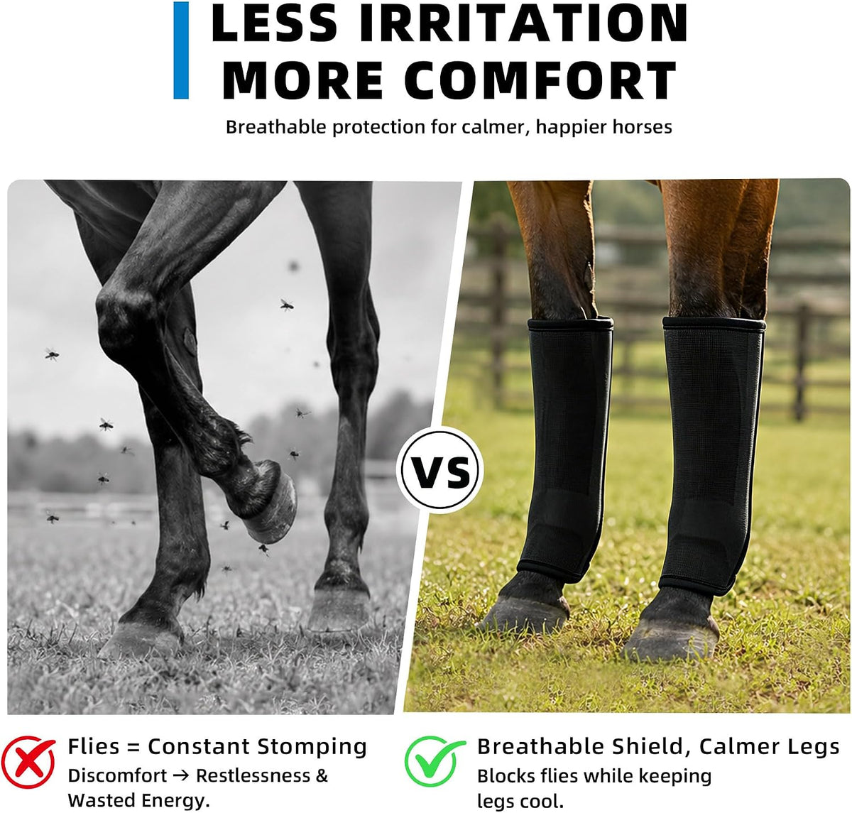 BangBoom horse leg guards applied on horse in pasture turnout