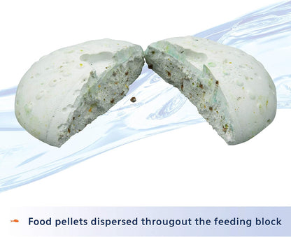 One pack vacation fish feeder product details and instructions on the reverse side