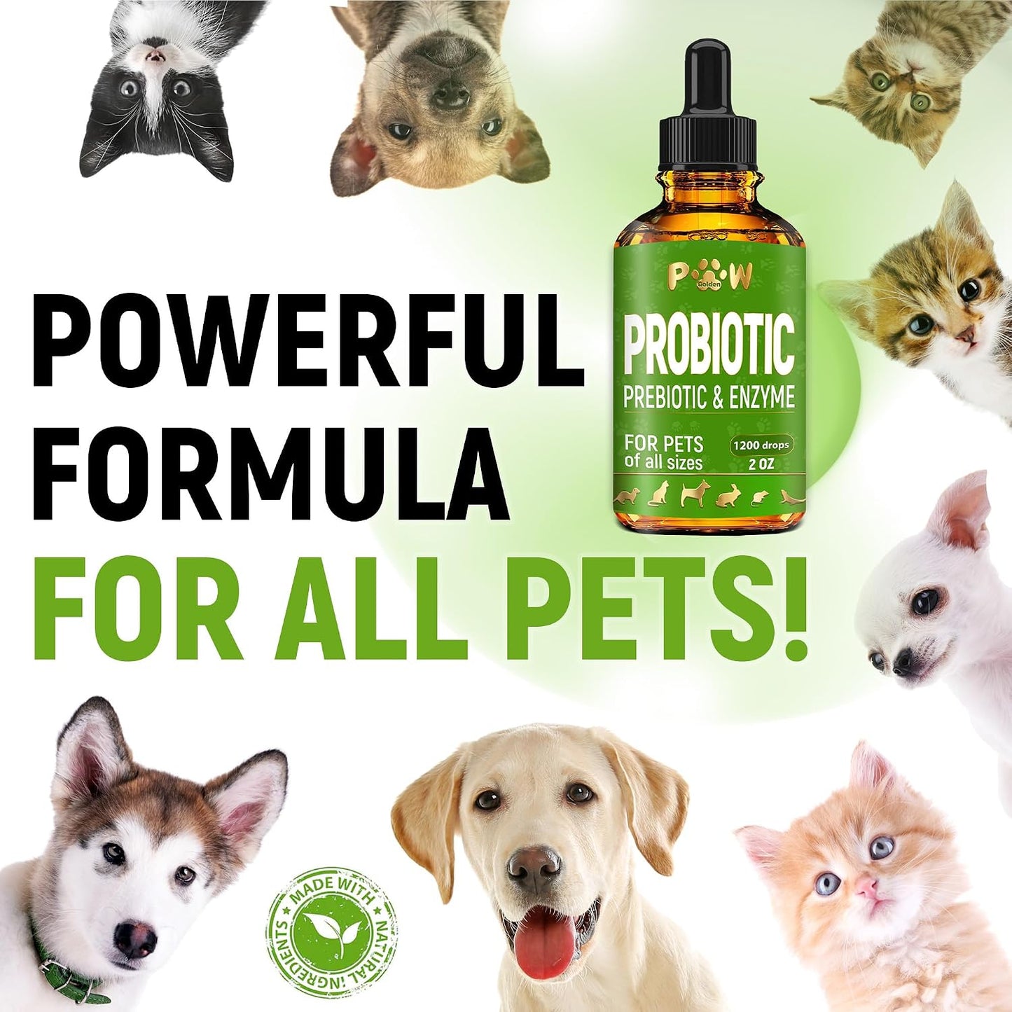 Golden Paw intestinal balance liquid supplement dropper close up view showing transparent liquid.