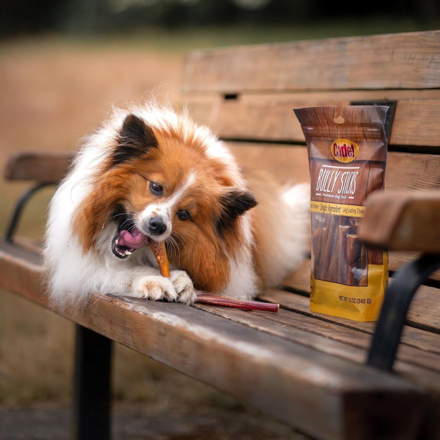 Cadet rawhide free long lasting dog chews close up text view