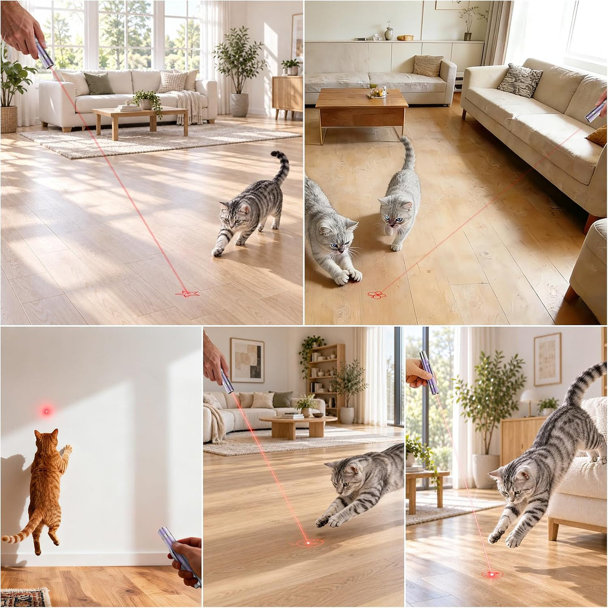 Cat Toys, Rechargeable, Interactive USB Chase Toy for Cats & Kittens - Image 2