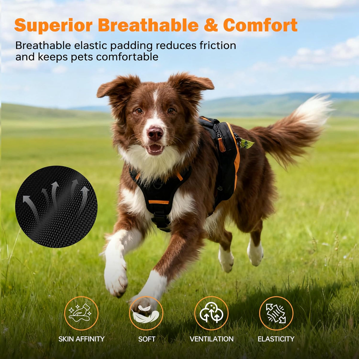 Moysoon dog training vest pack being adjusted with the heavy duty nylon chest strap buckles