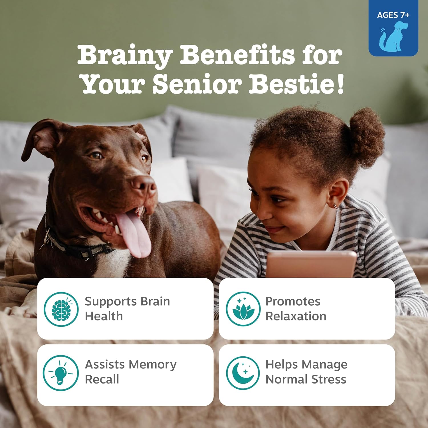 Zesty Paws dog calming treats for senior dog anxiety management.