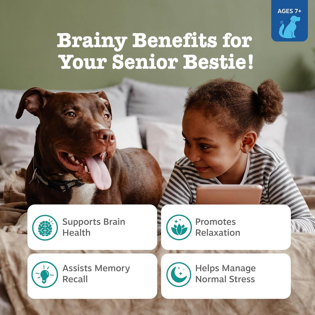 Zesty Paws dog calming treats for senior dog anxiety management.