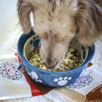 Grain free natural beef liver protein pack for canine health