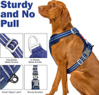 Easy on and off dog harness demonstration