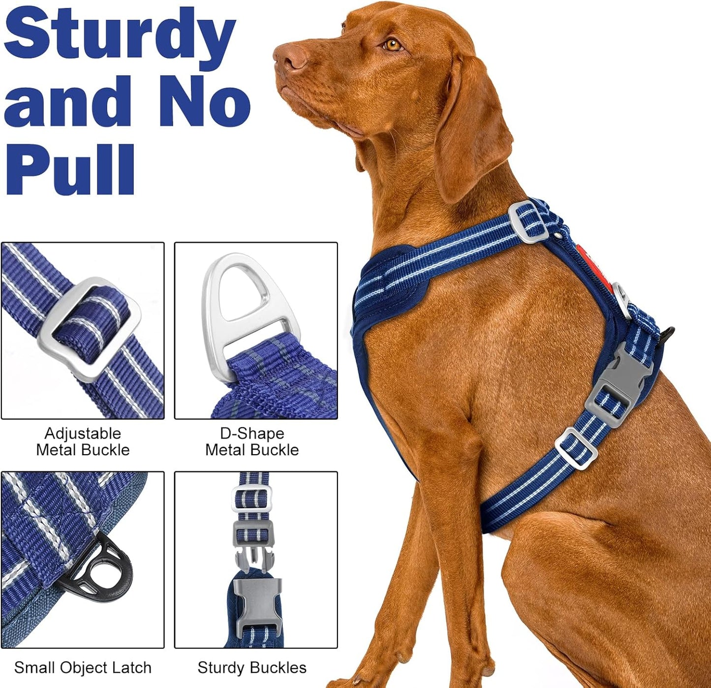 Easy on and off dog harness demonstration