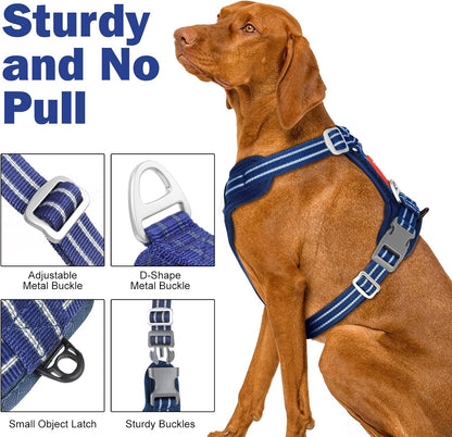 Easy on and off dog harness demonstration