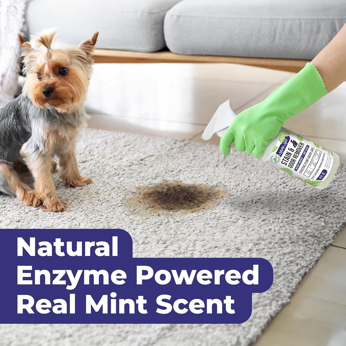 Close up of Mighty Mint natural pet cleaner label