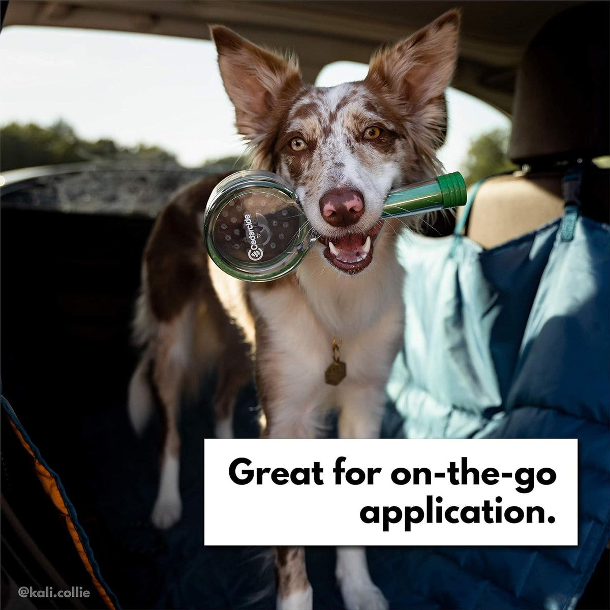 Side profile of Cedarcide pet grooming tool