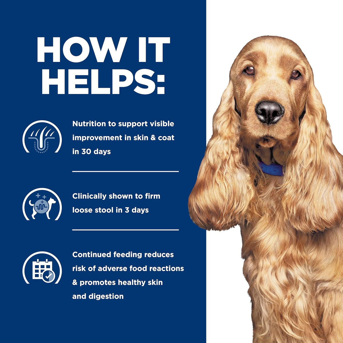 USA imported specialized veterinary diet for adult dogs with food intolerance