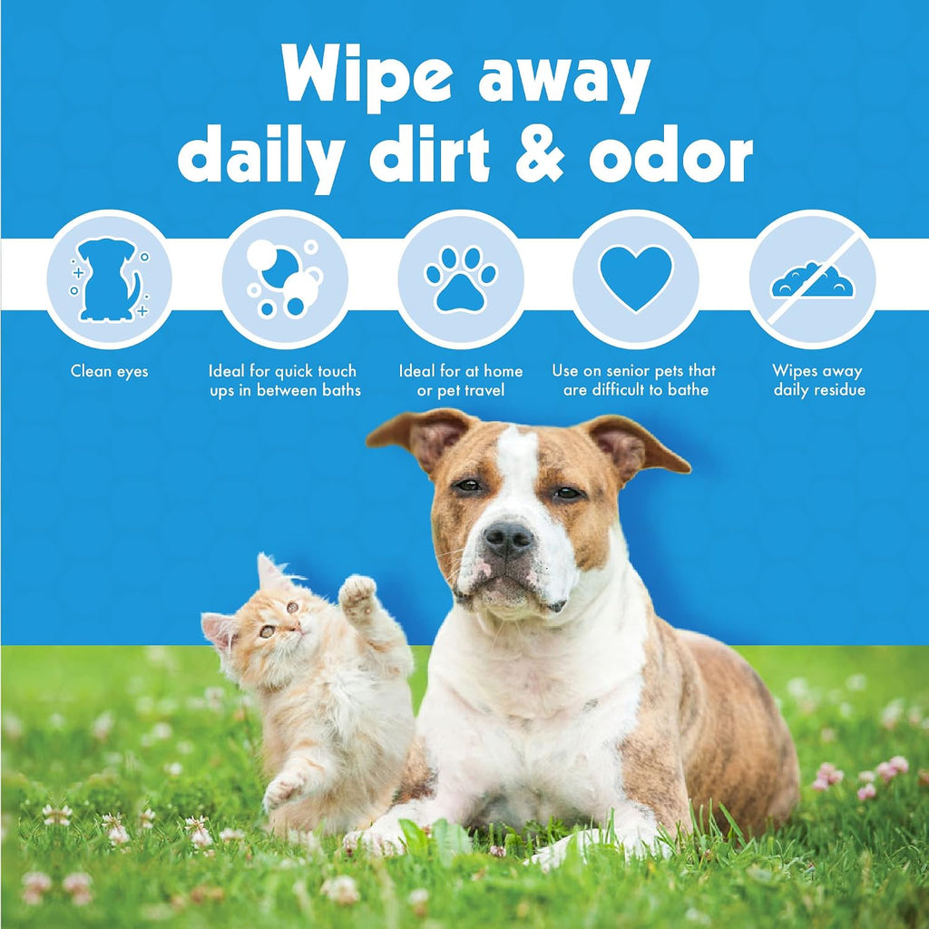 Petkin Kitty Eye Wipes travel friendly container for daily feline hygiene