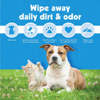 Petkin Kitty Eye Wipes travel friendly container for daily feline hygiene