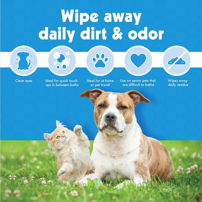 Petkin Kitty Eye Wipes travel friendly container for daily feline hygiene