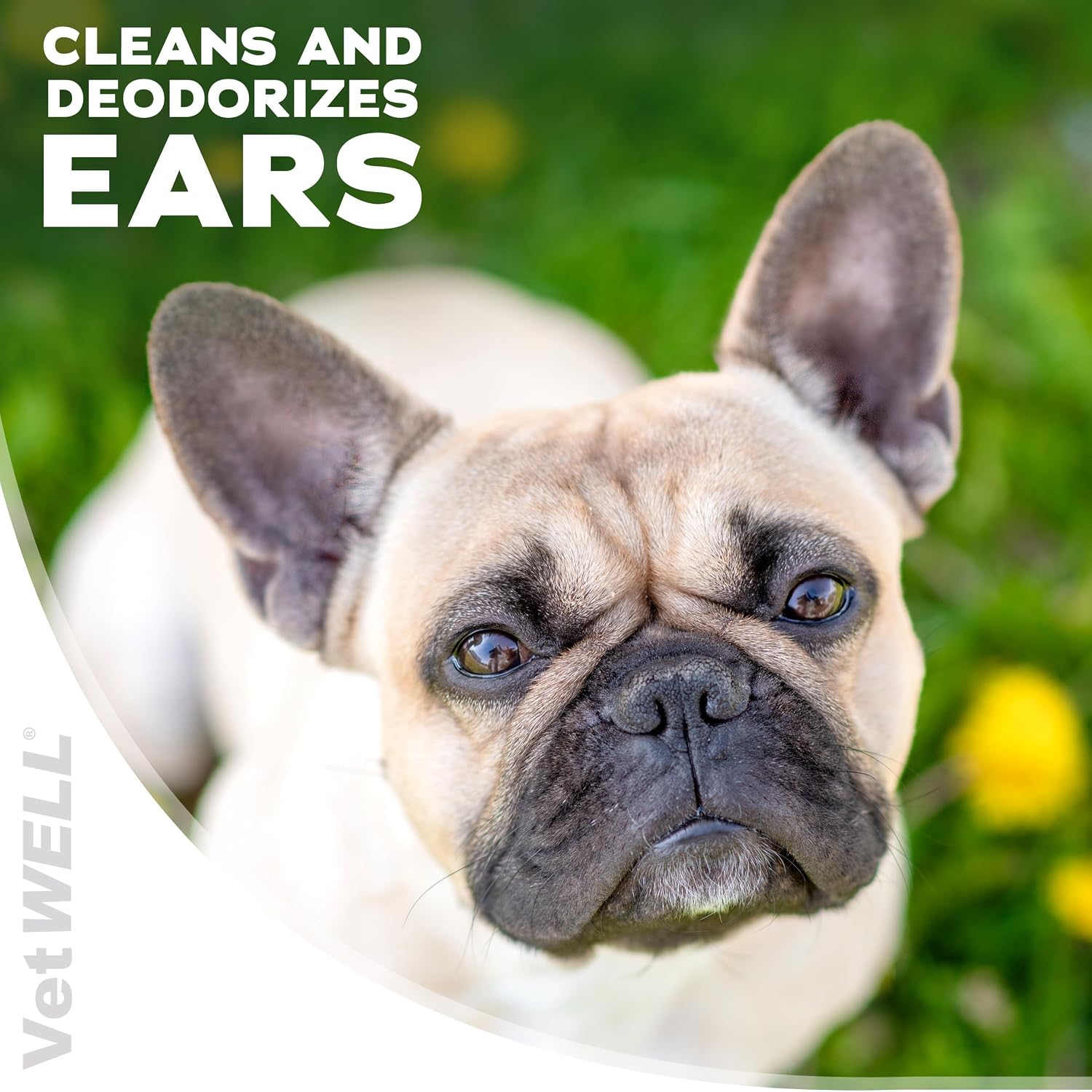VetWELL Otic Rinse for pet ear infection control