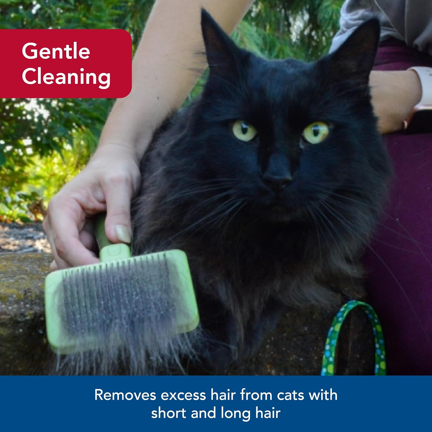 Coastal Pet Safari Cat Soft Slicker Brush angled view demonstrating grooming bristles