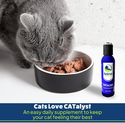 Authentic imported USA feline wellness supplement bottle showing complete directions