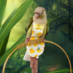 Magnoloran parrot costume highlighting breathable soft fabric