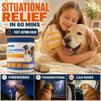 Non drowsy pet stress relief chews for thunderstorms and separation anxiety.