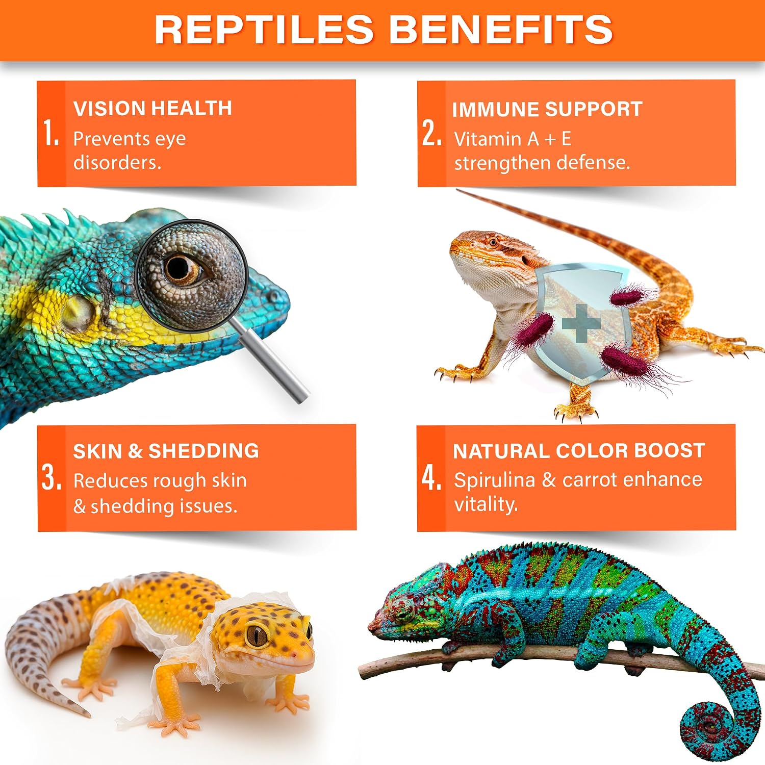 Reptile nutritional supplement powder texture in a scoop