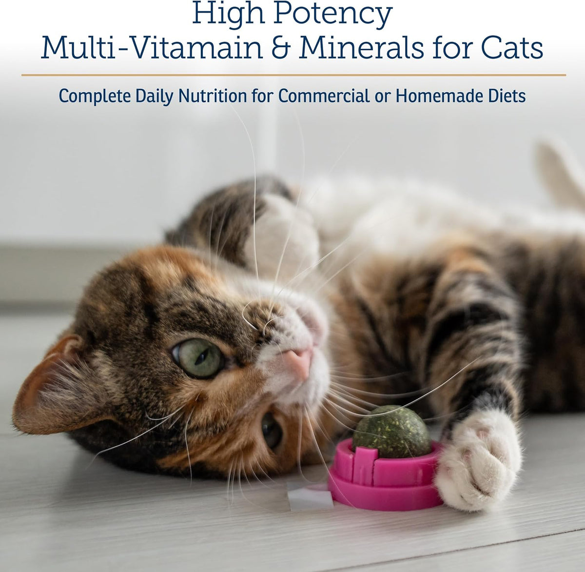 Rx Vitamins Essentials for Cats nutritional supplement powder container displaying product benefits.