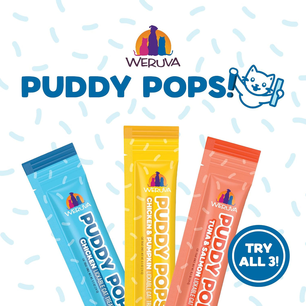 Close up of Weruva Puddy Pops chicken and pumpkin texture