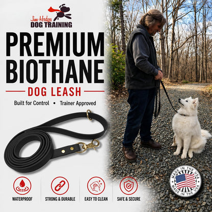 Jim Hodges Gummy K9 waterproof dog leash close up view of solid brass snap hook