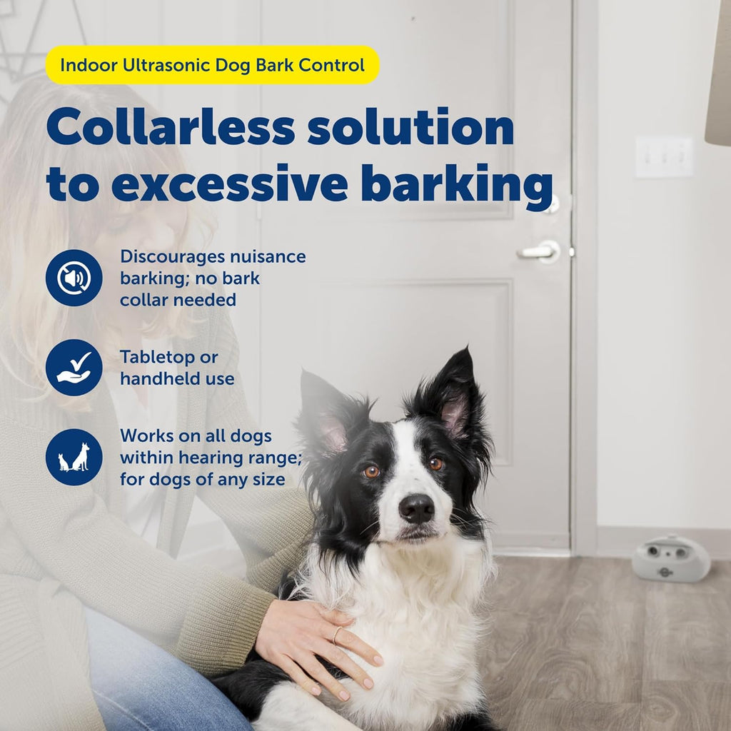 PetSafe anti-bark trainer on living room table
