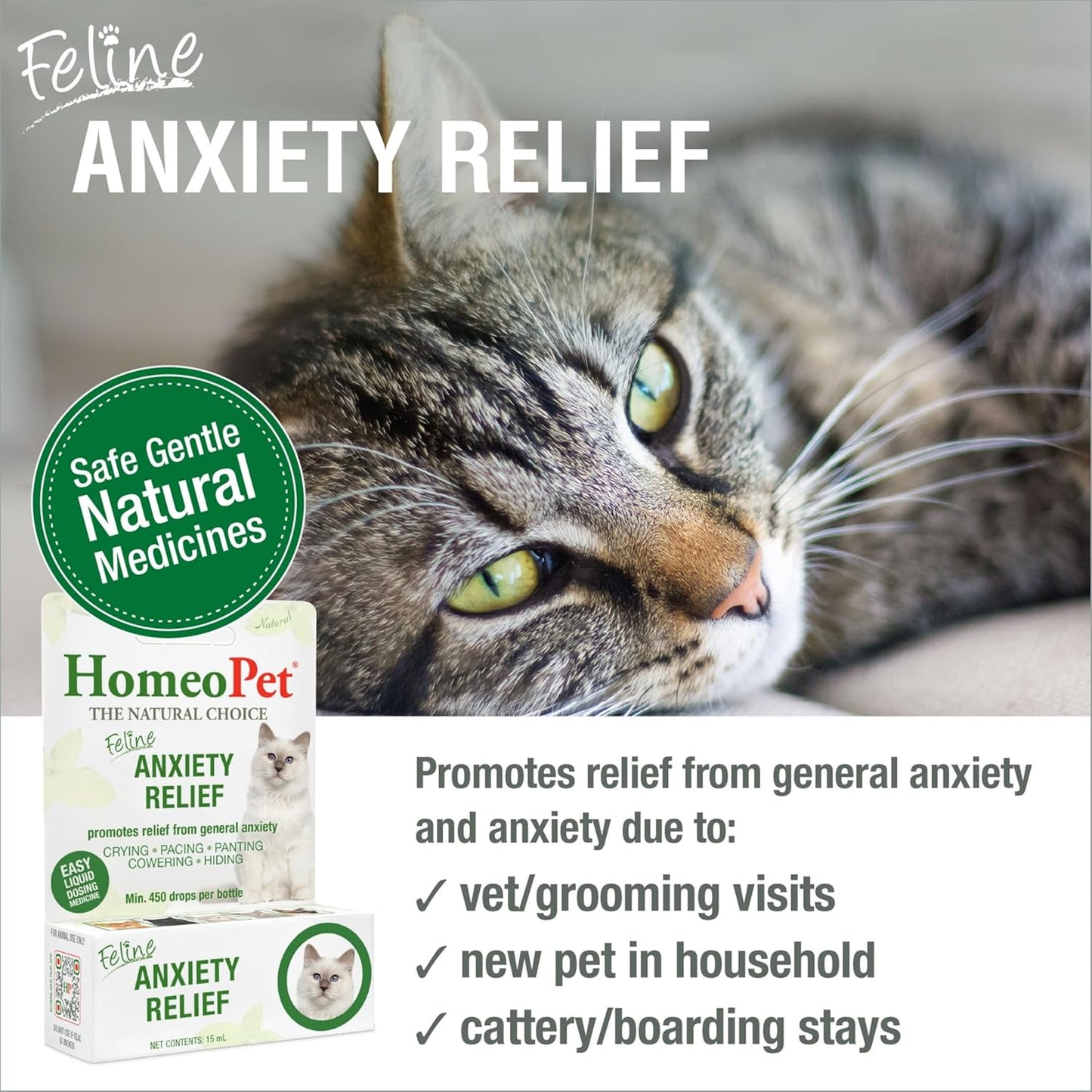 HomeoPet Feline Anxiety Relief natural homeopathic drops for cat stress