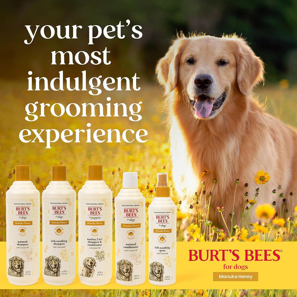 Burt's Bees for Pets Itch Relief Spray for Dogs, Manuka Honey & Chamomile, Soothes Itchy Skin Between Baths, Naturally Derived, No Artificial Fragrances, Sulfates or Colorants, 10 Fl Oz - Image 10