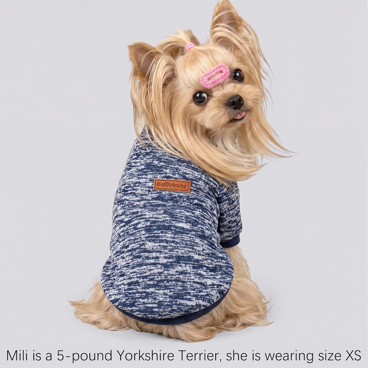 Stretchy pullover dog jacket size chart and fitting details