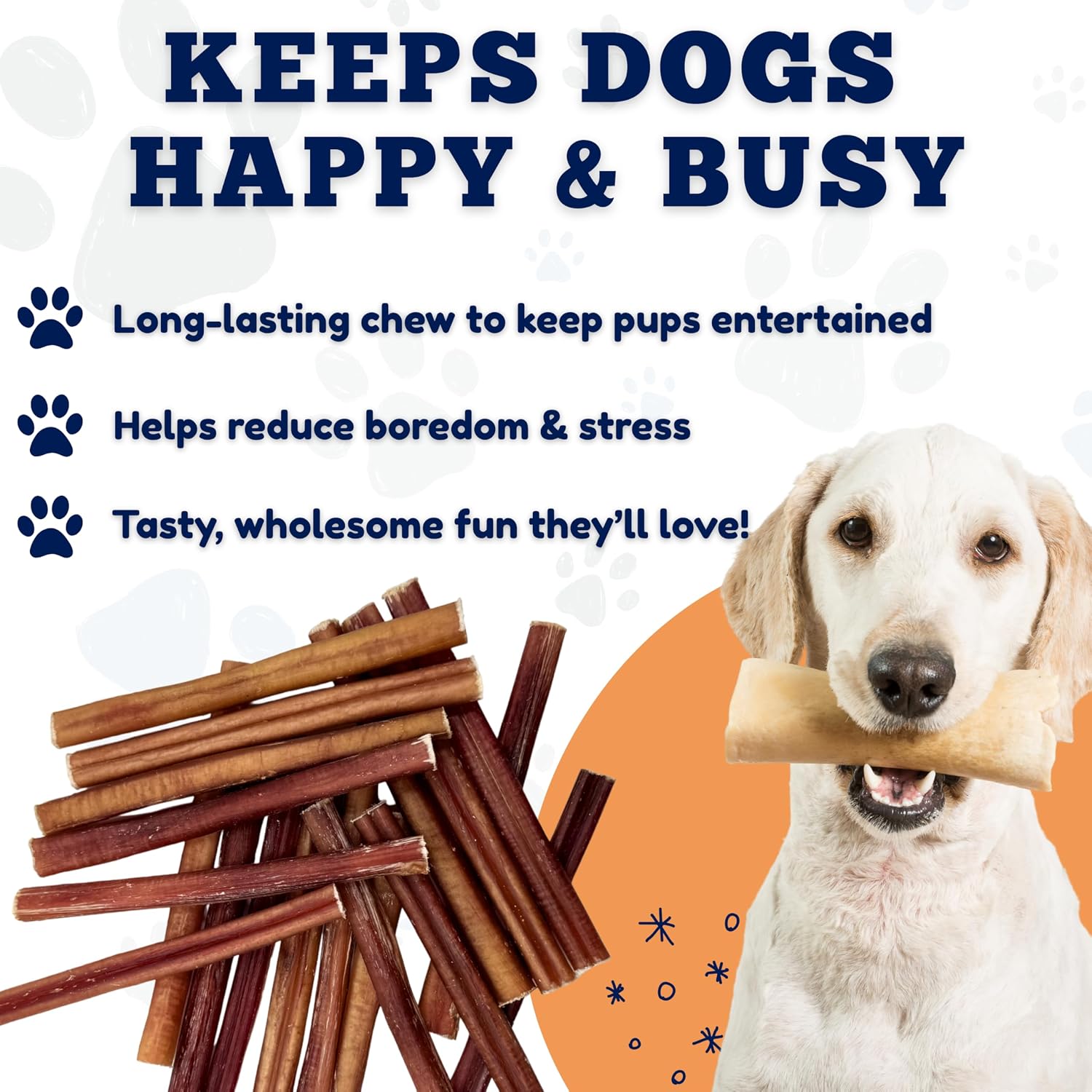 Authentic USA imported dog treats on display for Indian pet owners