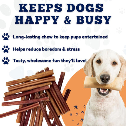Authentic USA imported dog treats on display for Indian pet owners