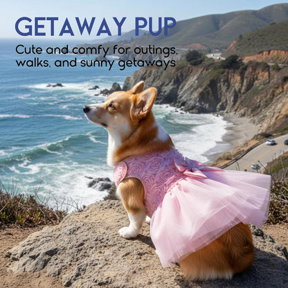 ASENKU Dog Apparel product package view emphasizing the authentic imported high-quality premium finishing.