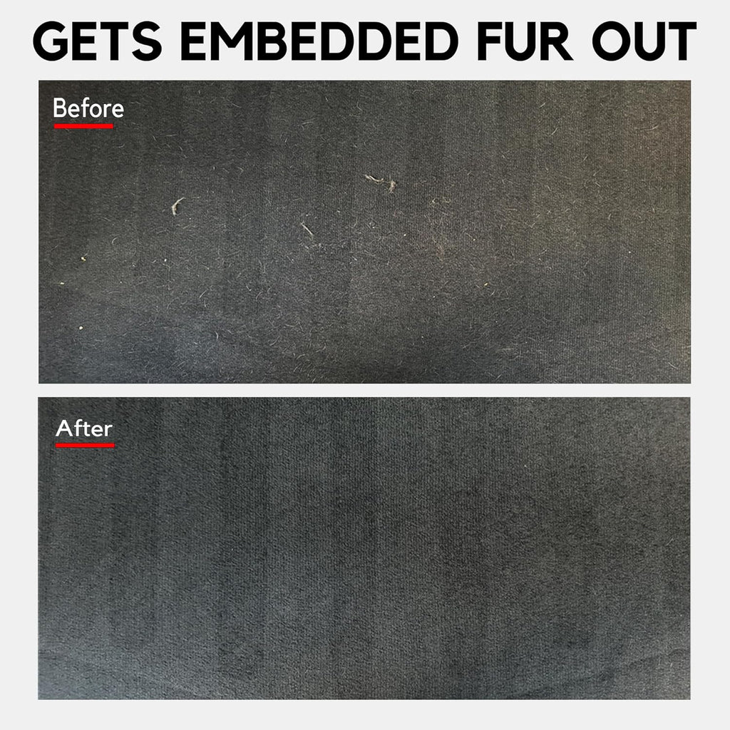 Detail Demands reusable pet hair brush on fabric sofa
