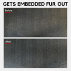 Detail Demands reusable pet hair brush on fabric sofa