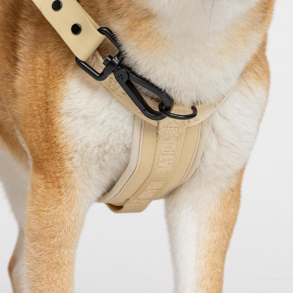 Adjustable strap detail on Fei and Eve small dog harness