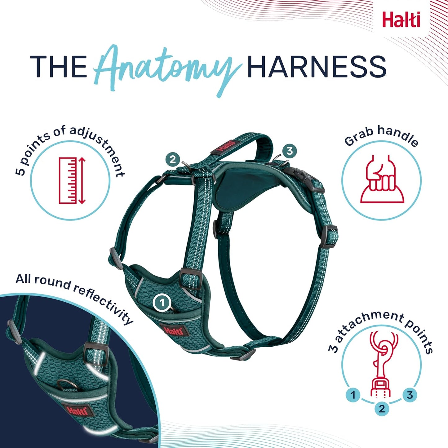 Halti dog harness adjustable chest and neck straps detail