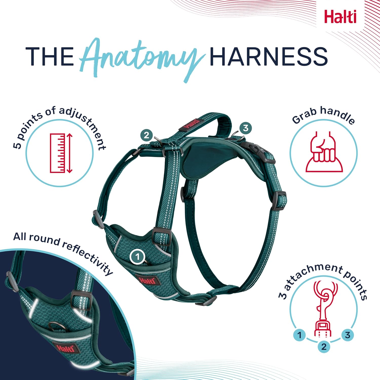 Halti dog harness adjustable chest and neck straps detail