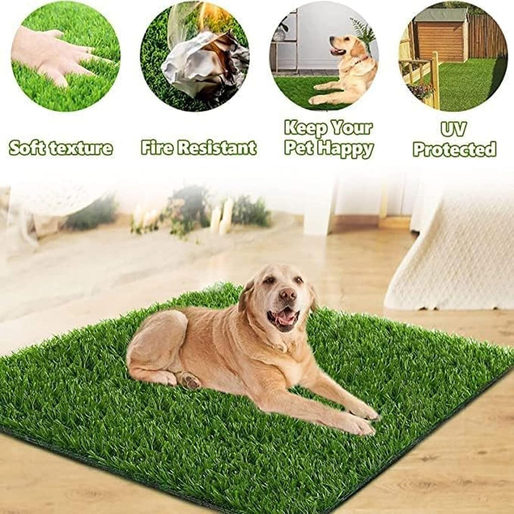 Puppy using outdoor artificial grass pee pad