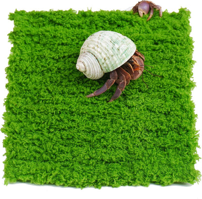 Hermit Crab Climbing Wall, 6 Inch Adjustable Hermit Crab Supplies for Hermit Crab Tank - Image 1